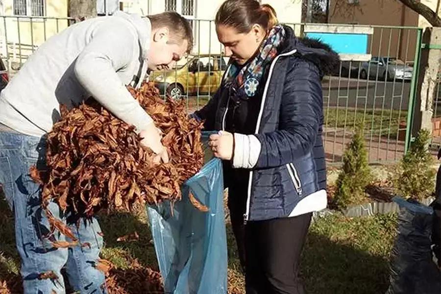 Zajęcia z ogrodnictwa